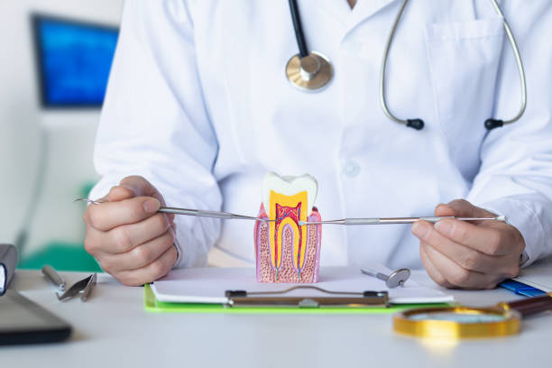 Best Emergency Tooth Extraction in Richlandtown, PA